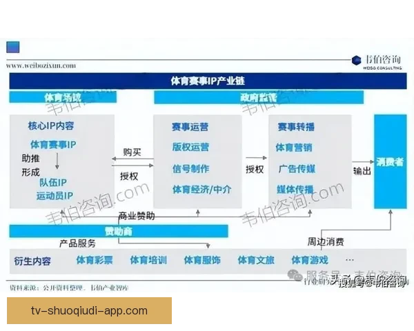 中国体育在线：全面聚焦国内外体育赛事最新动态与专业分析