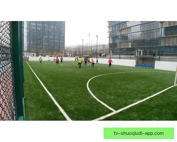 狗孩足球：探索青少年足球教育的创新路径与成长潜力