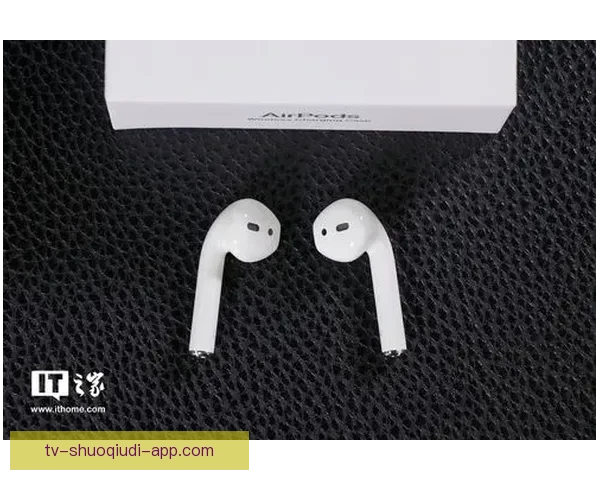 泰福特0-2马力恩产品解析与性能特点全面评测